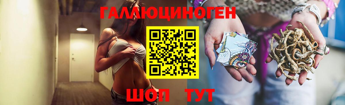 Псилоцибиновые грибы MAGIC MUSHROOMS  Вход с VPN  Пенза  Псилоцибиновые грибы прущие грибы 